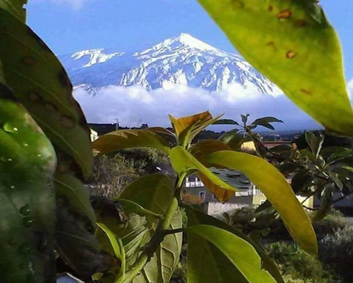 Finca La Alejandria Vendégház Fasnia Spanyolország